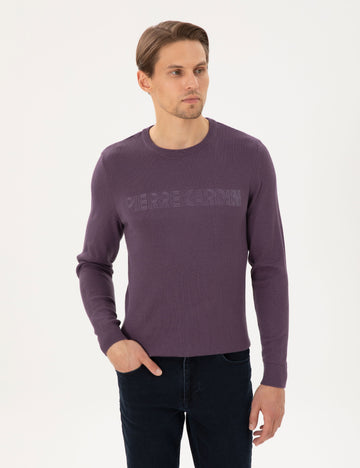 Purple Slim Fit Crew Neck Wool Blended Knitwear Sweater