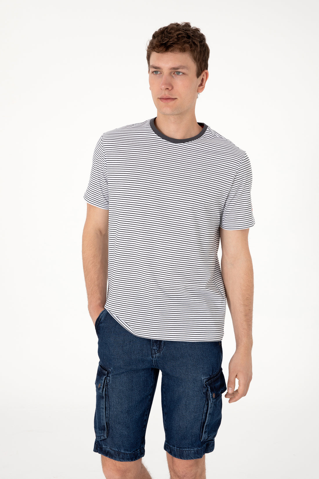 Men's Regular Fit Crew Neck Black Striped T-Shirt