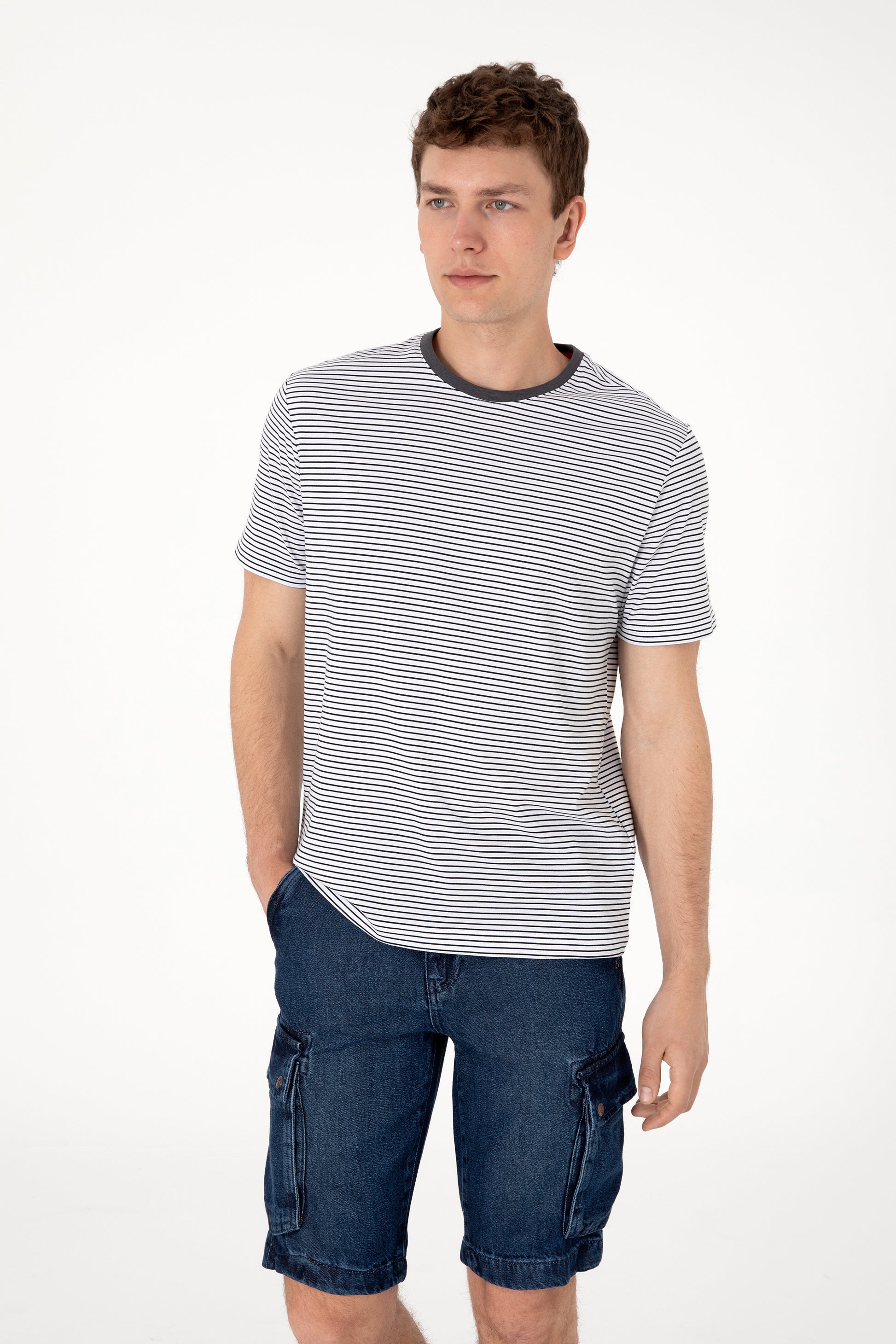 Men's Regular Fit Crew Neck Black Striped T-Shirt