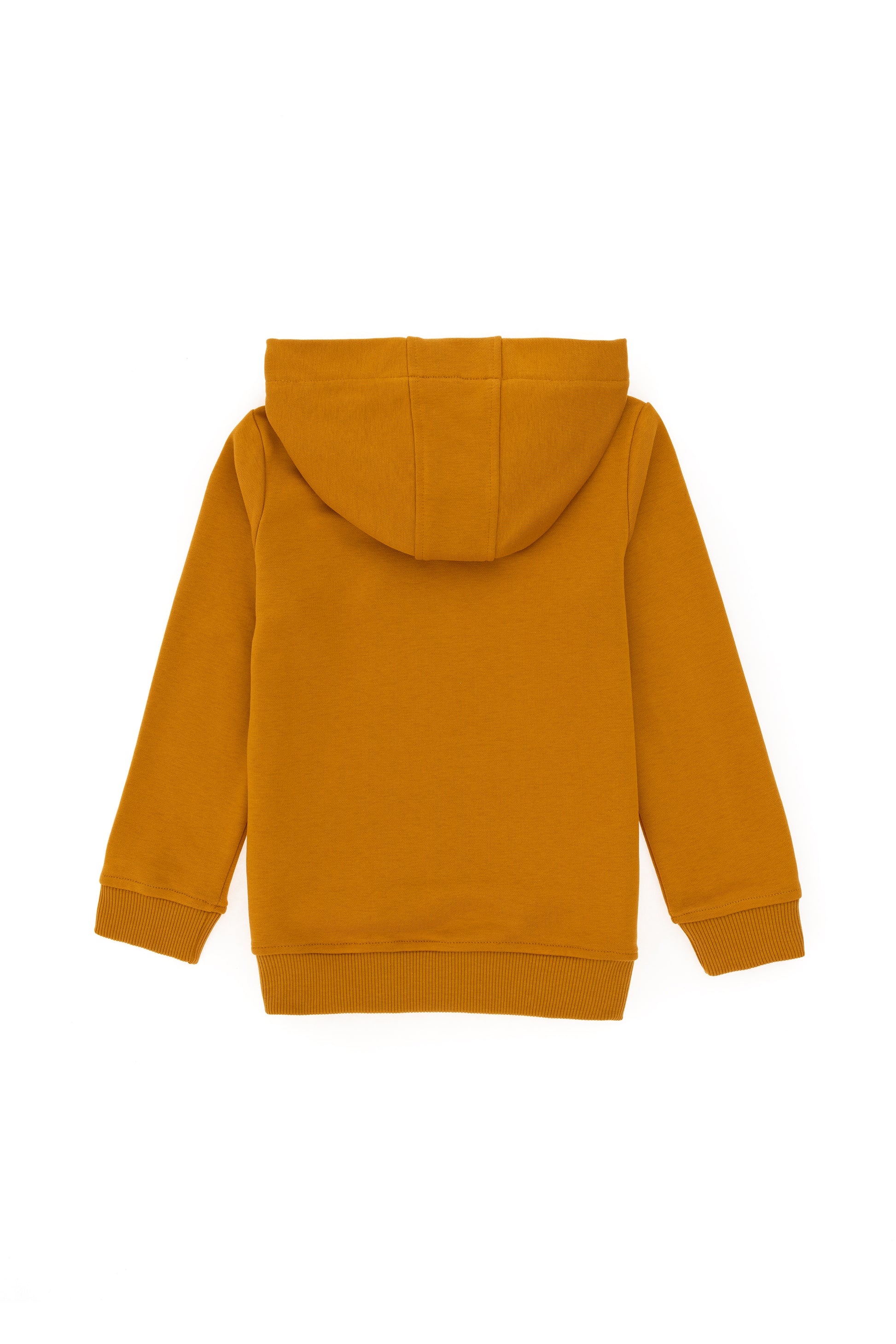 Boy's Mustard Basic Hooded Sweatshirt