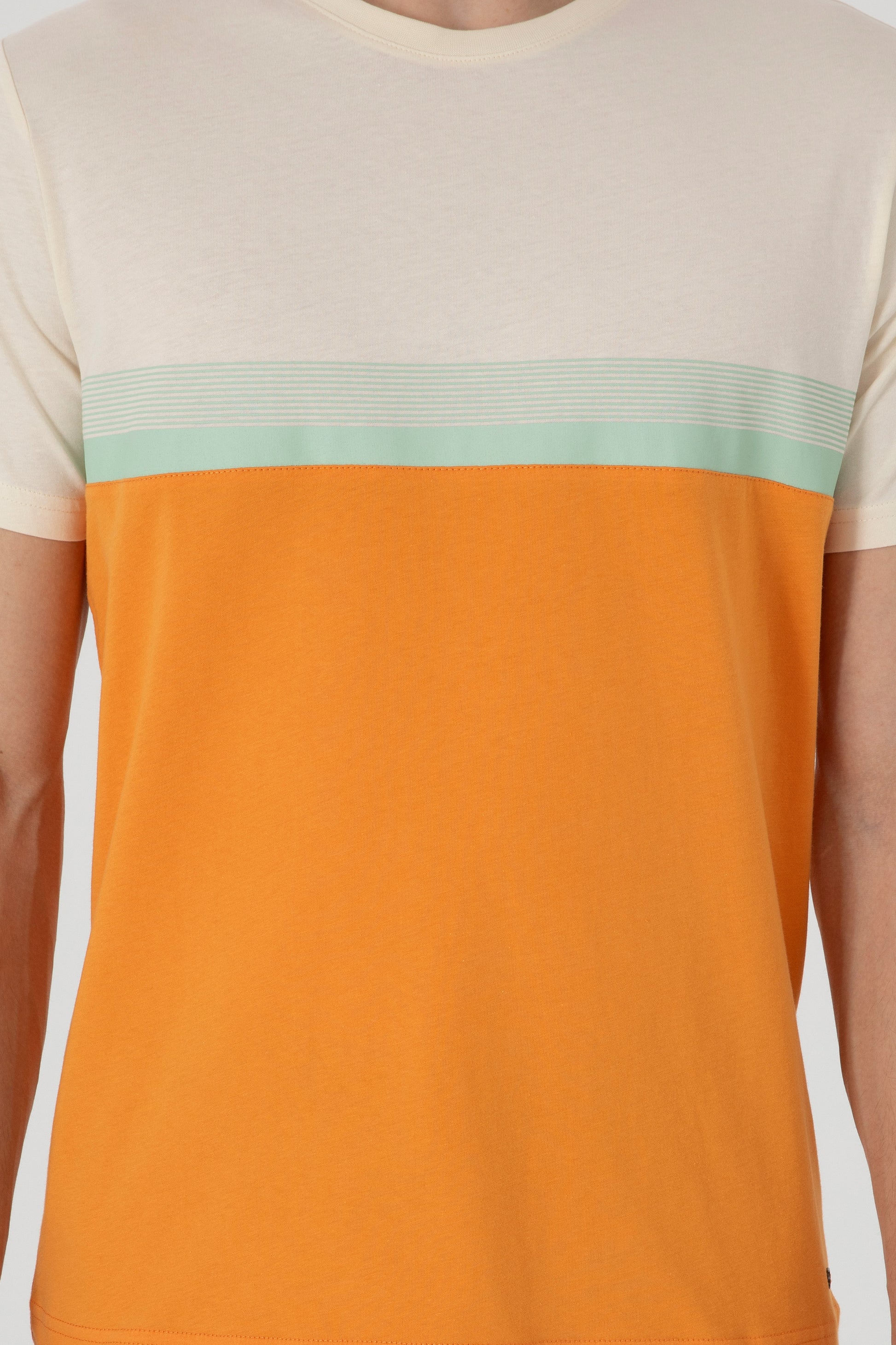 Men's Regular Fit Crew Neck Orange T-Shirt
