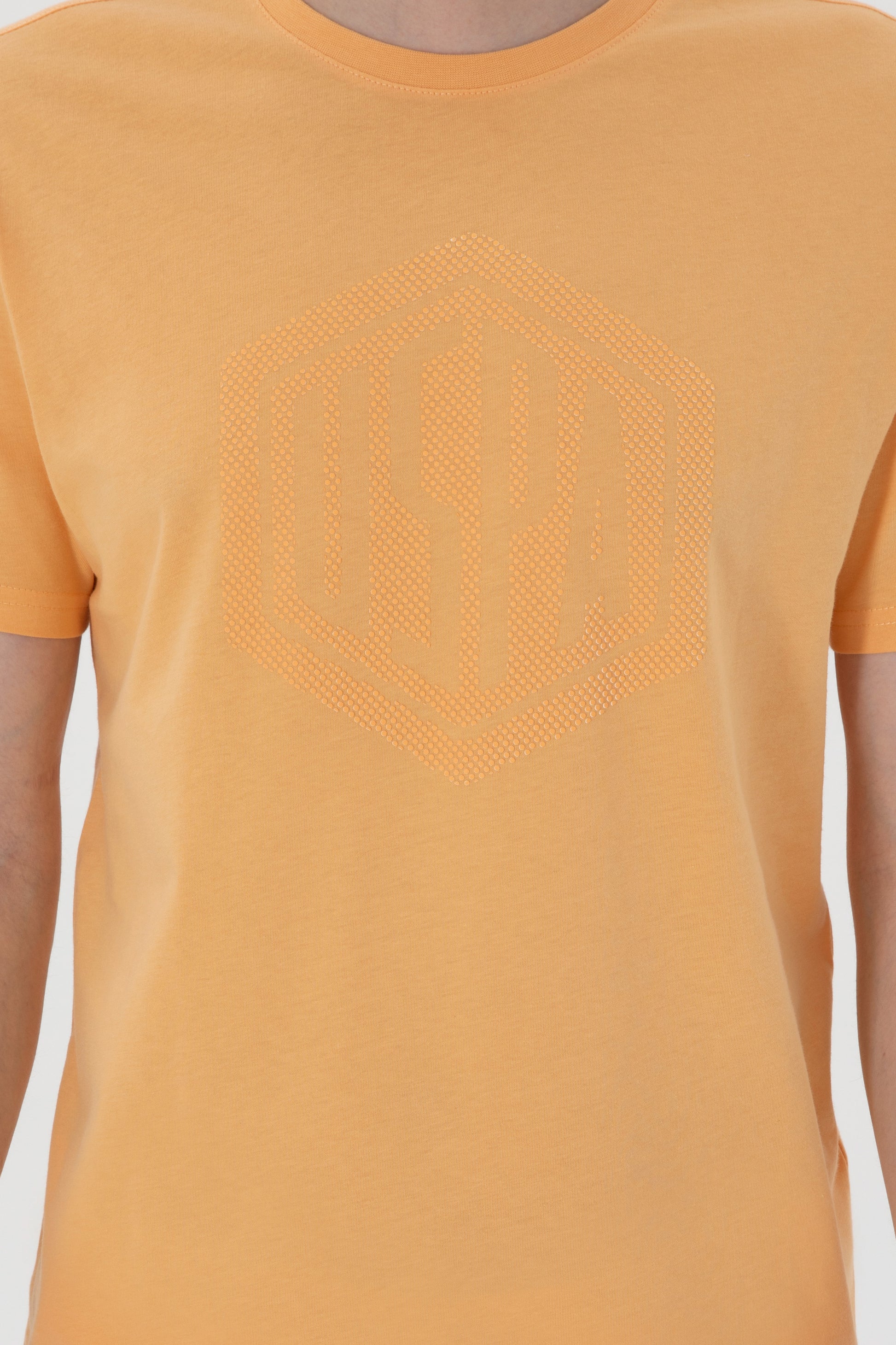 Men's Regular Fit Crew Neck Orange T-Shirt