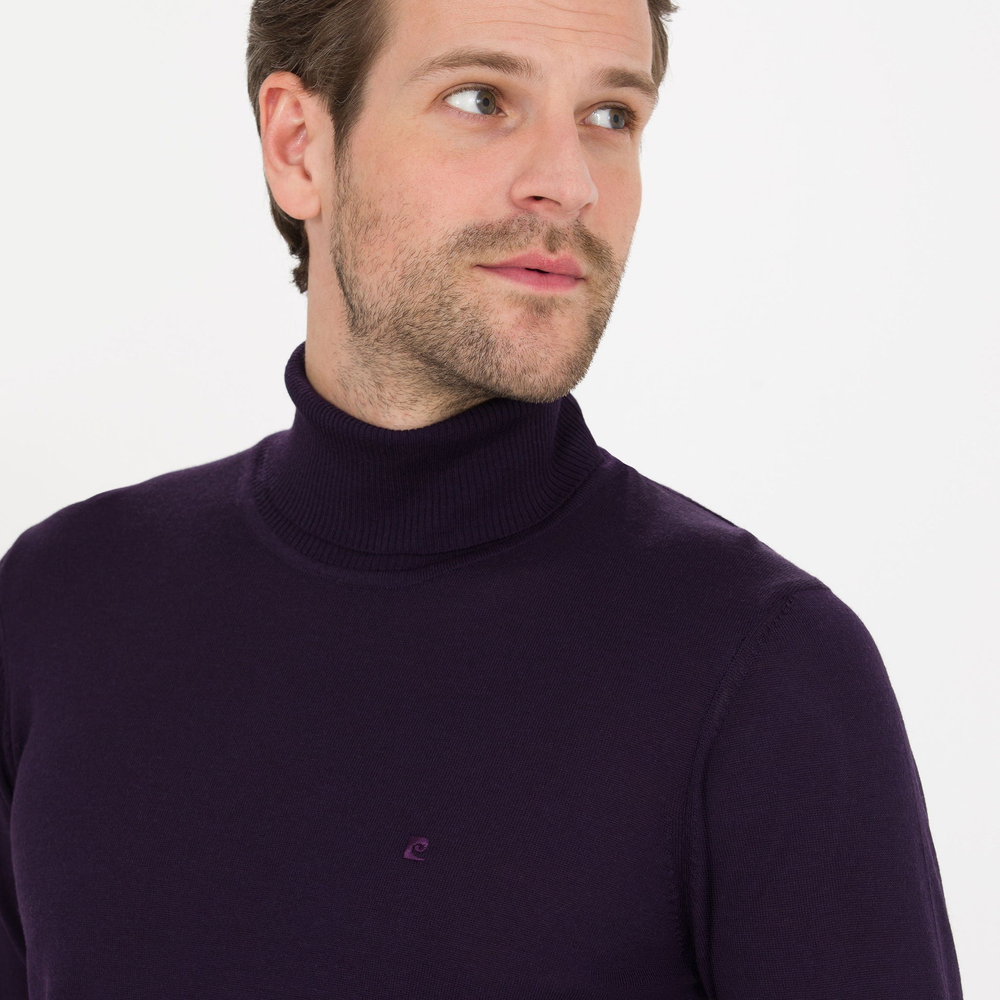 Purple Slim Fit Turtleneck Wool Blend Basic Knitwear Sweater