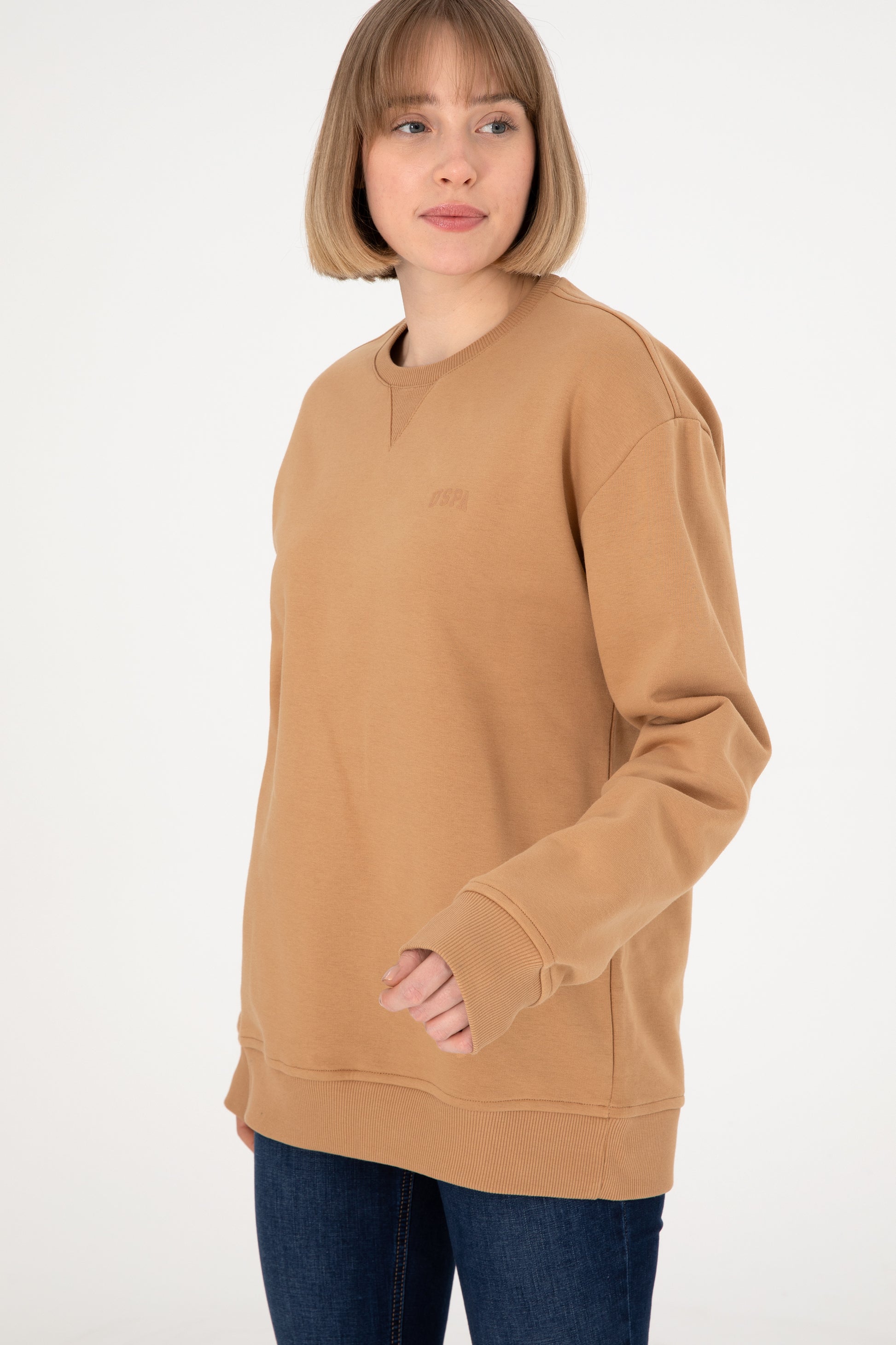 Men's Camel Basic Sweatshirt