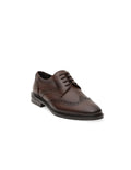 Brown 100% Leather Classic Shoes