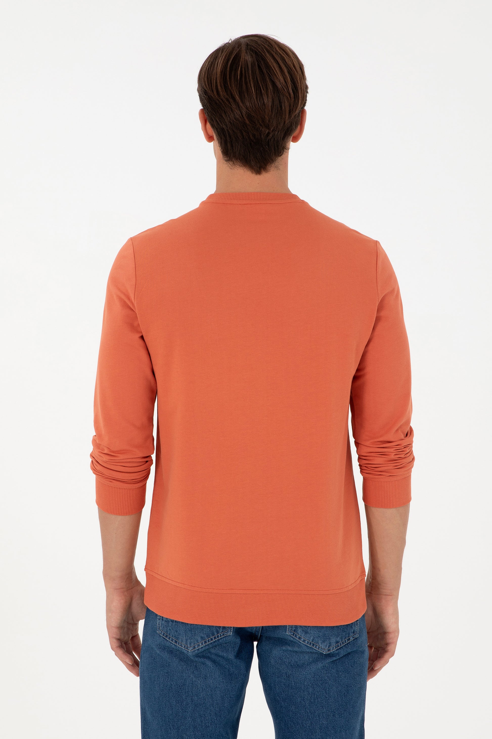 Men's Regular Fit Crew Neck Cinnamon Sweatshirt