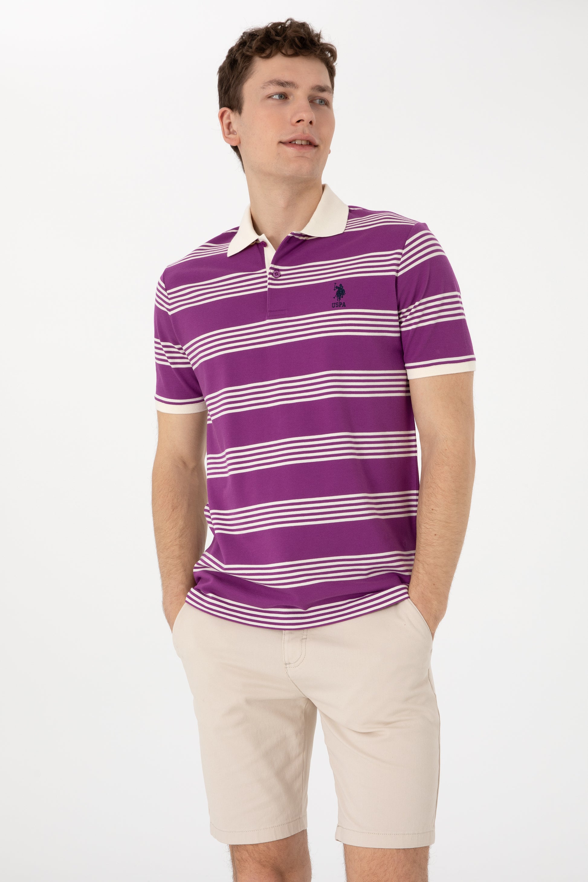Men's Regular Fit Polo Neck Purple Striped T-Shirt