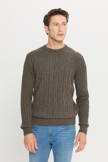 Men's Brown Wool Standard Fit Regular Fit Crew Neck Jacquard Knitwear Sweater