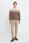 Men's Beige-Coffee Warm Colorblock Pattern Knitwear Sweater Standard Fit Crew Neck
