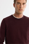 Men's Burgundy Textured Basic Sweater E005109