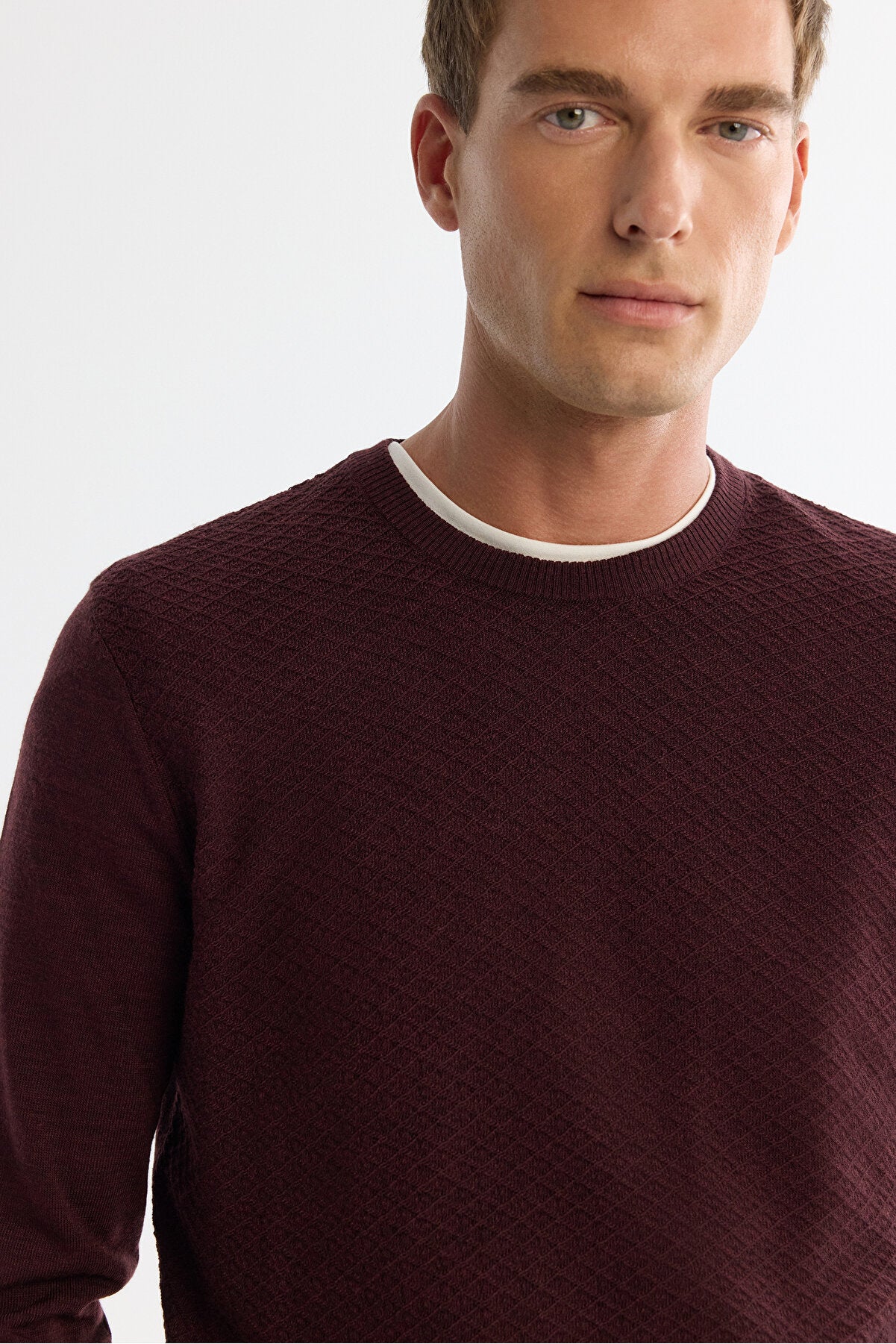 Men's Burgundy Textured Basic Sweater E005109