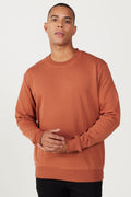 Men's Light Brown Standard Fit Regular Fit Crew Neck 3 Thread Cotton Sweatshirt