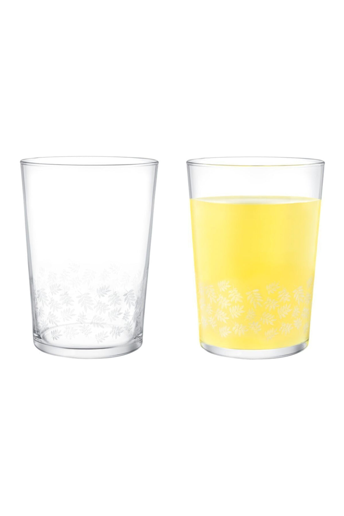 Pierretta-white Leaves Set of 4 Soft Drinks Glasses 510 ml