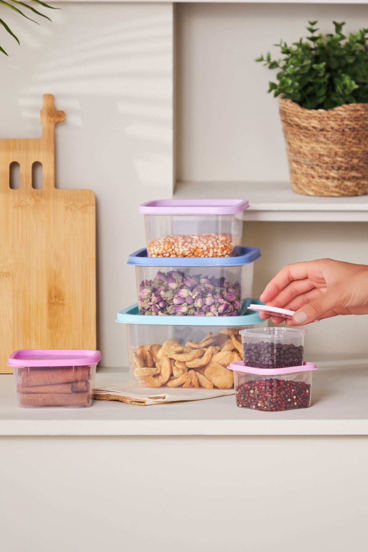 Dora Purple 6 Piece Storage Container