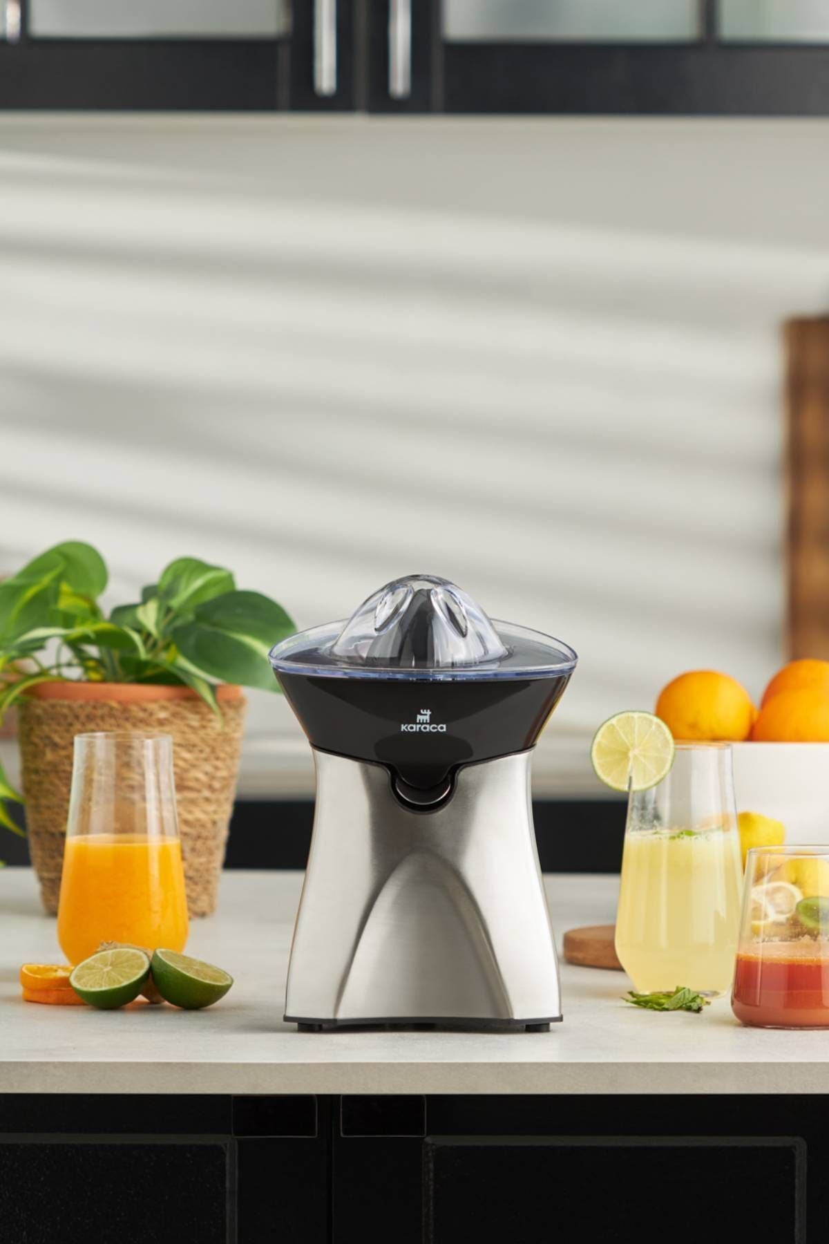 Freshmix Inox Citrus Juicer 601