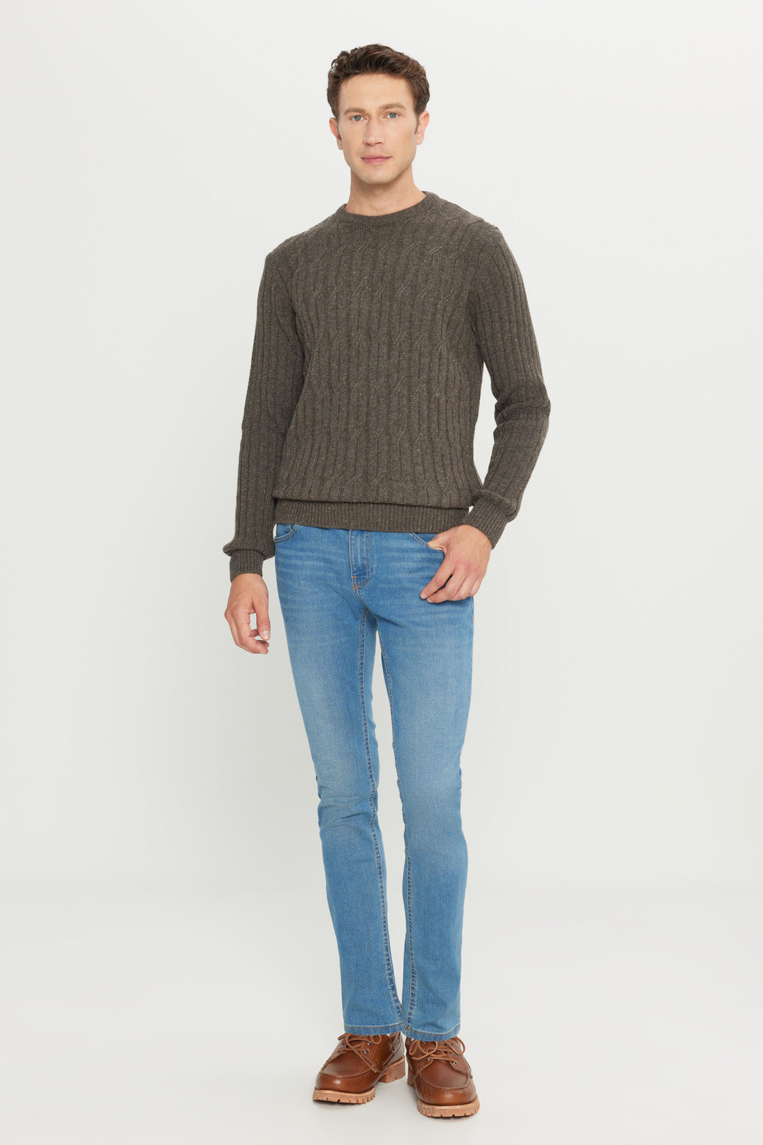 Men's Brown Wool Standard Fit Regular Fit Crew Neck Jacquard Knitwear Sweater