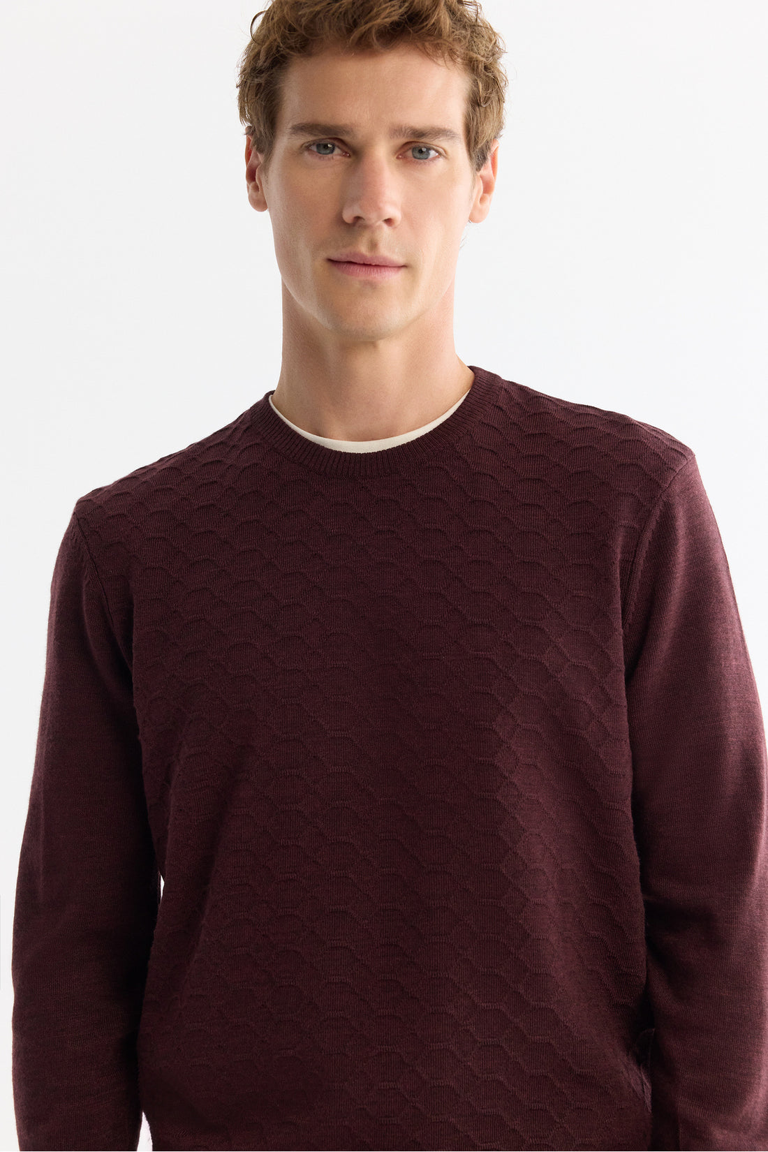 Men's Burgundy Textured Basic Sweater E005107