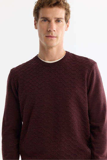 Men's Burgundy Textured Basic Sweater E005107