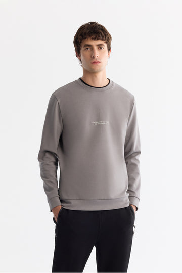 Erkek Gri Bisiklet Yaka Pamuklu Baskılı Elastan Regular Fit Sweatshirt A42Y1313