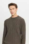 Men's Brown Wool Standard Fit Regular Fit Crew Neck Jacquard Knitwear Sweater
