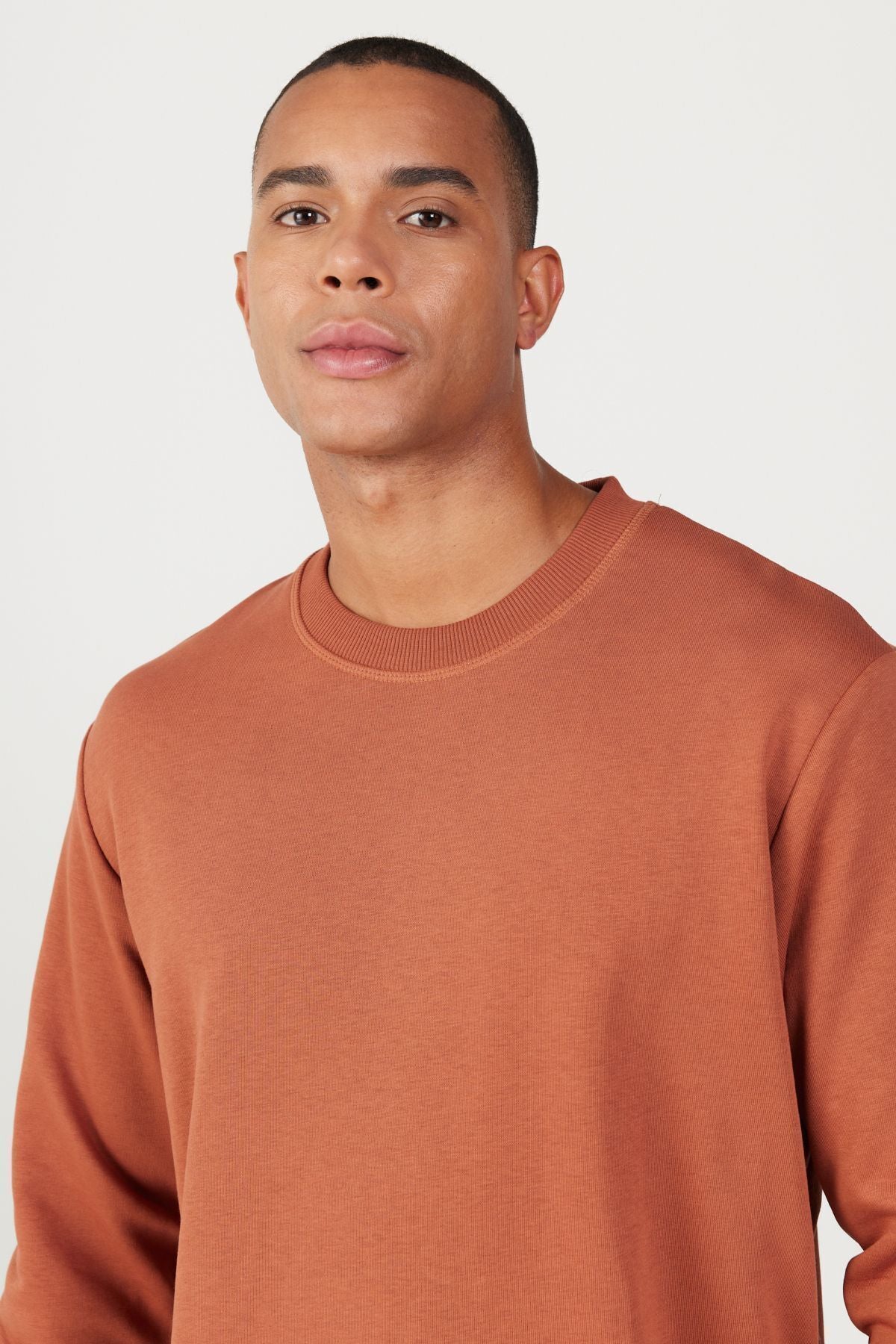 Men's Light Brown Standard Fit Regular Fit Crew Neck 3 Thread Cotton Sweatshirt