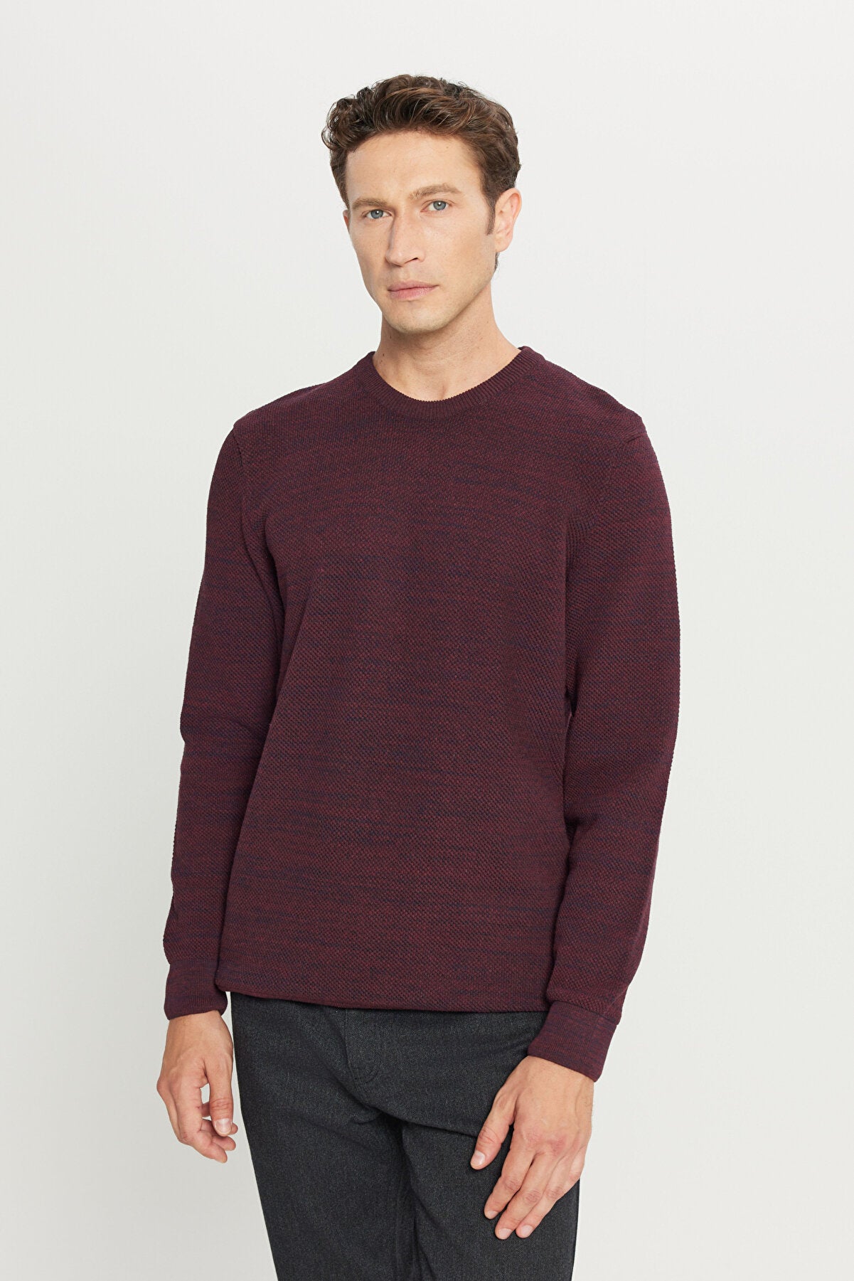 Men's Burgundy-navy Standard Fit Regular Fit Crew Neck Patterned Knitwear Sweater
