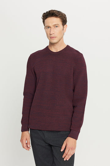 Men's Burgundy-navy Standard Fit Regular Fit Crew Neck Patterned Knitwear Sweater
