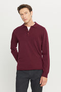 Men's Burgundy Anti-Pilling Anti Pilling Fabric Standard Fit Polo Collar Sweater