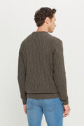 Men's Brown Wool Standard Fit Regular Fit Crew Neck Jacquard Knitwear Sweater