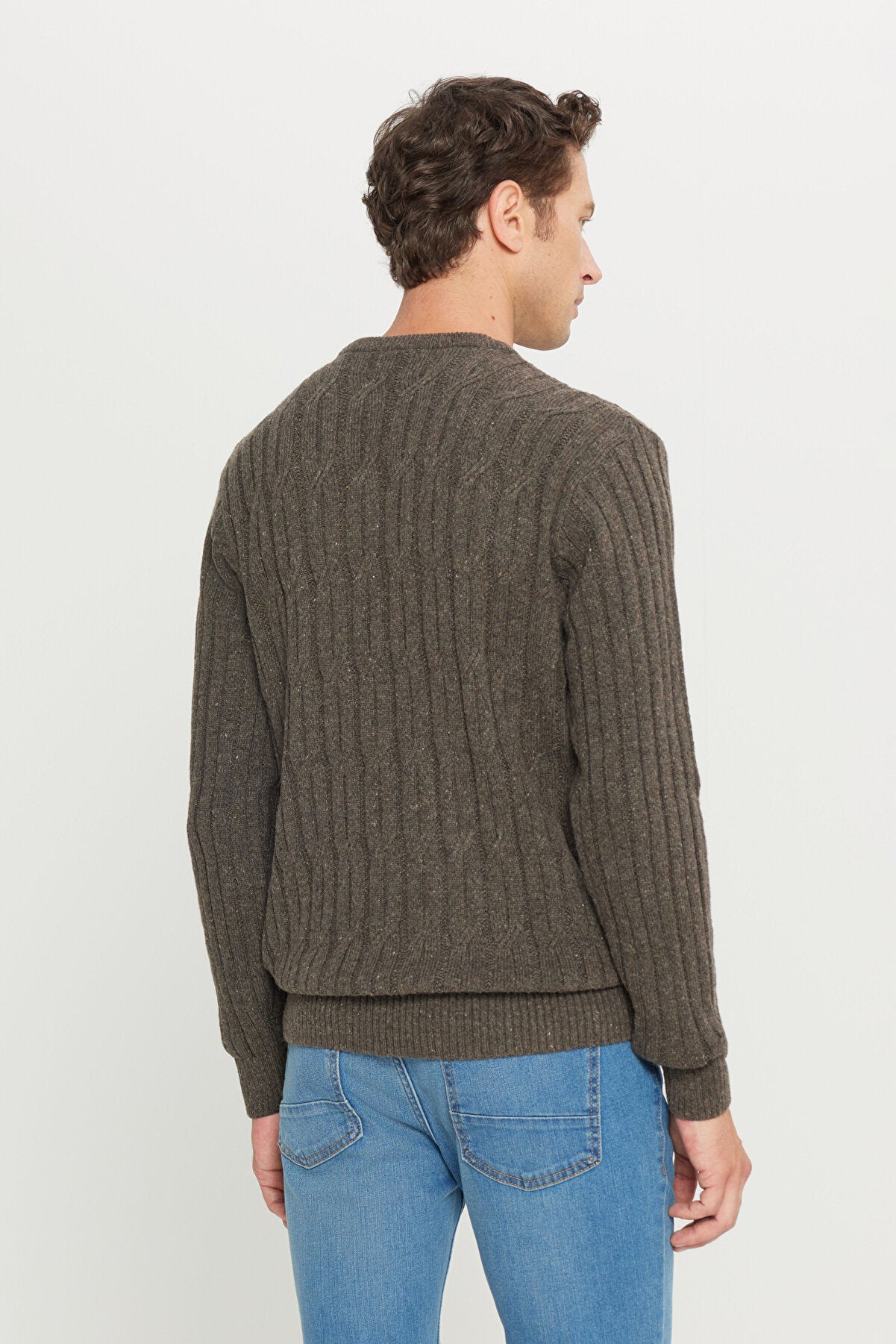 Men's Brown Wool Standard Fit Regular Fit Crew Neck Jacquard Knitwear Sweater
