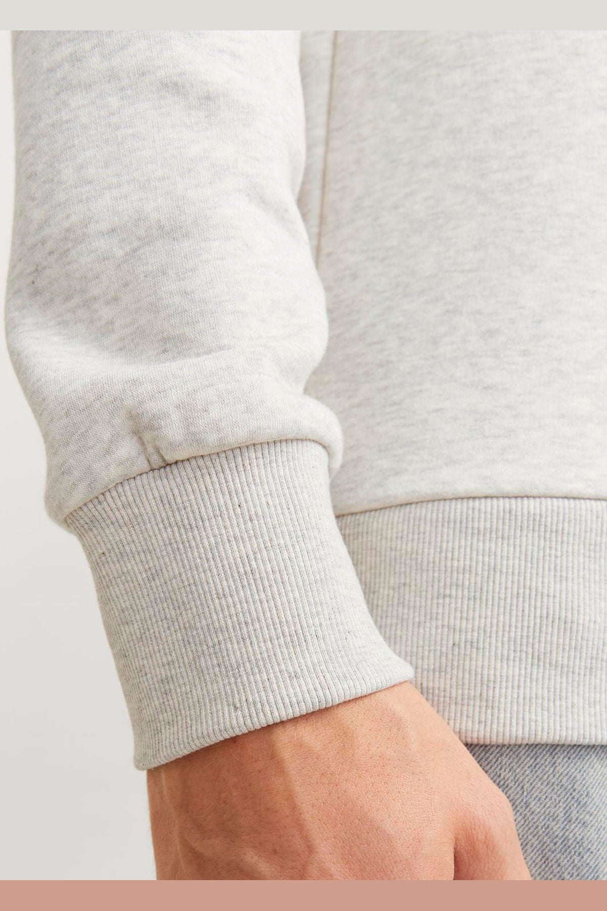 Men's Goose Logo Printed Hooded Sweatshirt - South