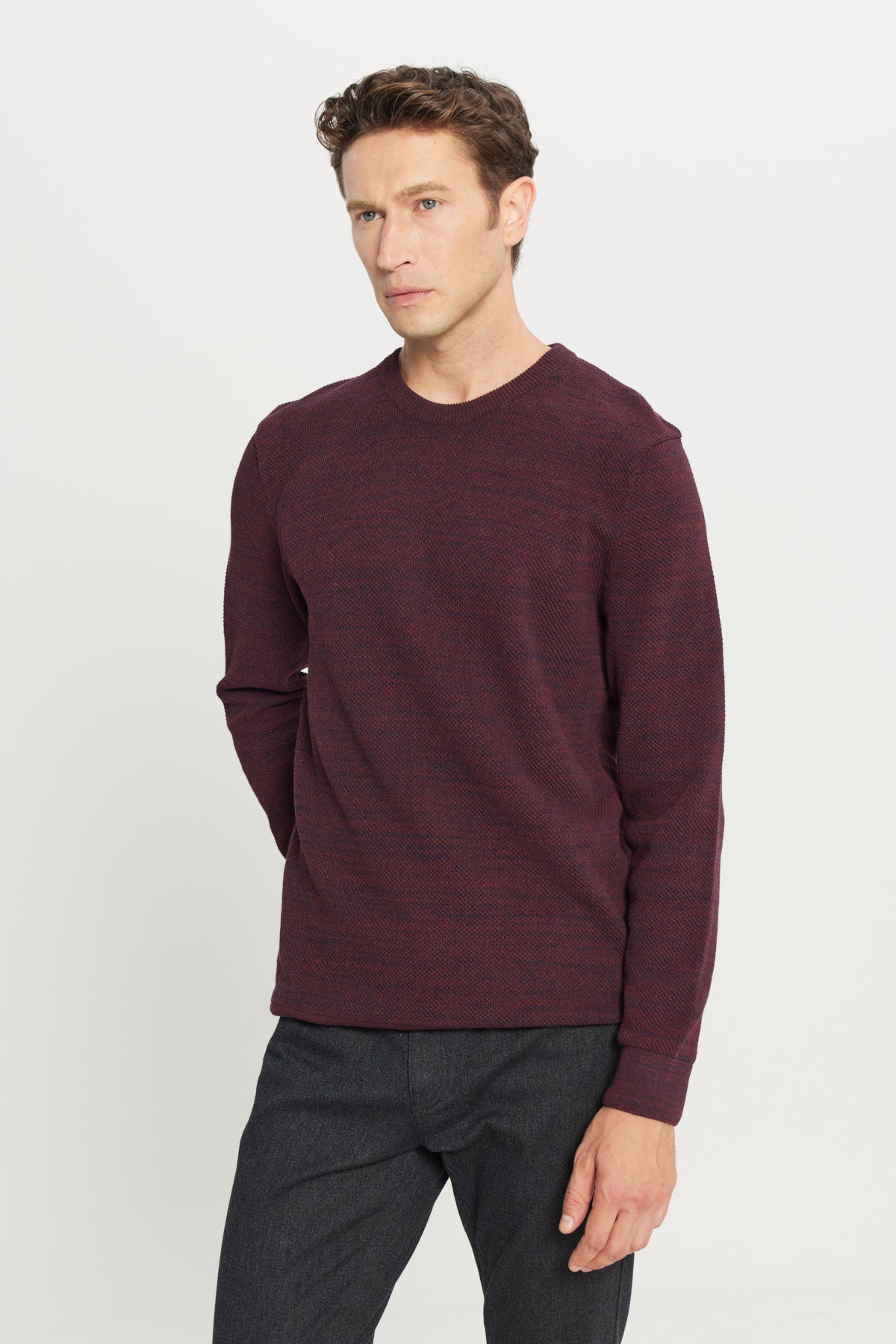 Men's Burgundy-navy Standard Fit Regular Fit Crew Neck Patterned Knitwear Sweater