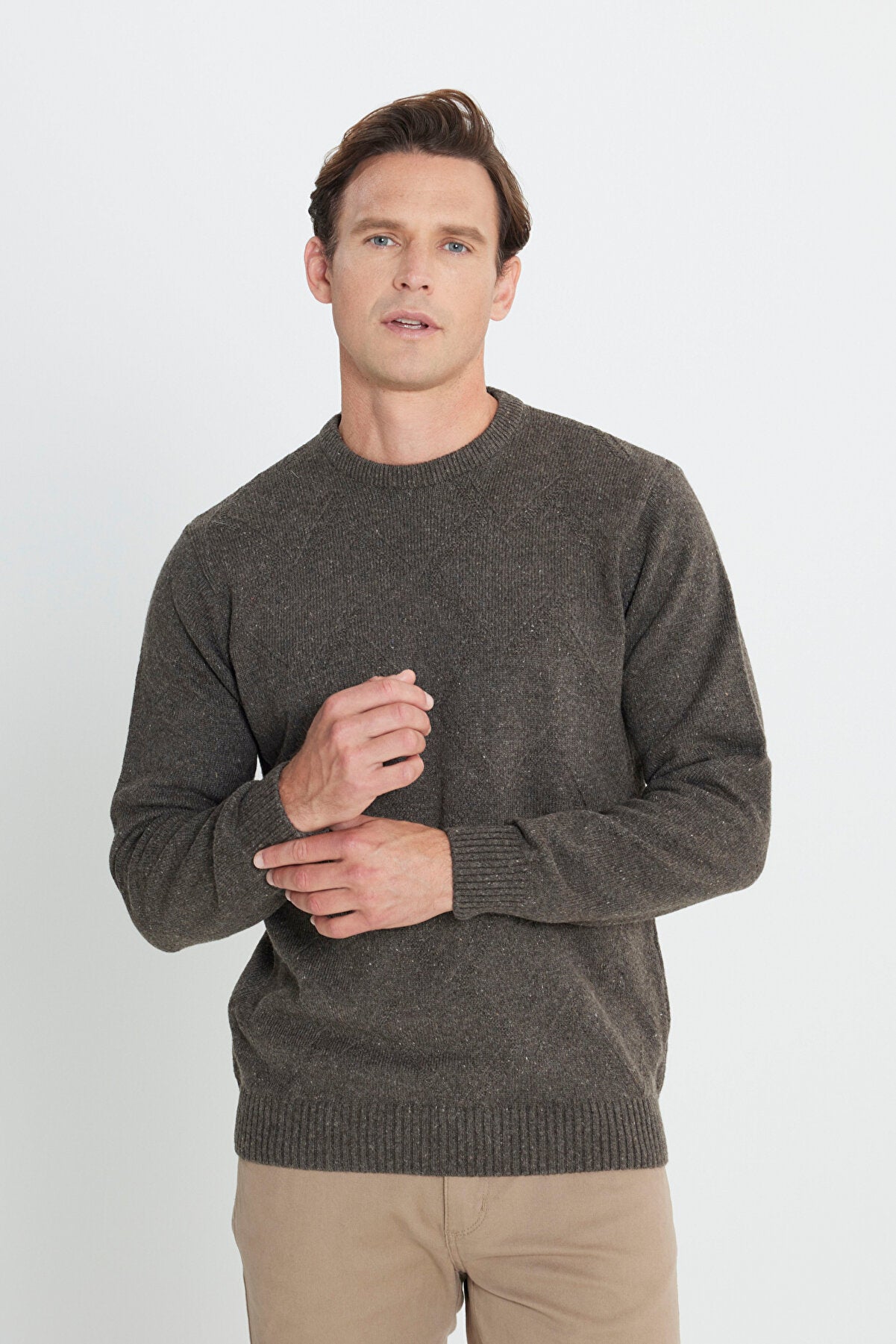 Men's Brown Wool Standard Fit Regular Fit Crew Neck Jacquard Knitwear Sweater
