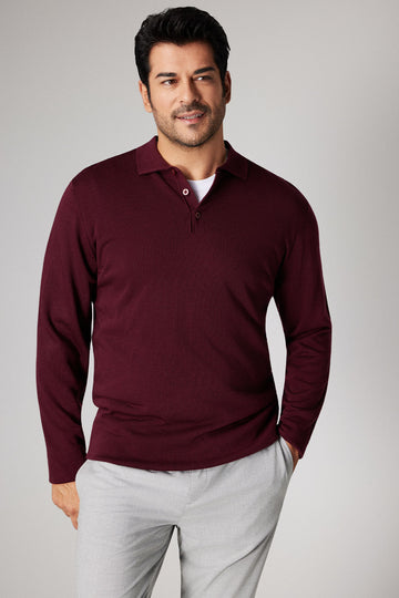 Men's Burgundy Anti-Pilling Anti Pilling Fabric Standard Fit Polo Collar Sweater