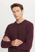 Men's Burgundy-navy Standard Fit Regular Fit Crew Neck Patterned Knitwear Sweater