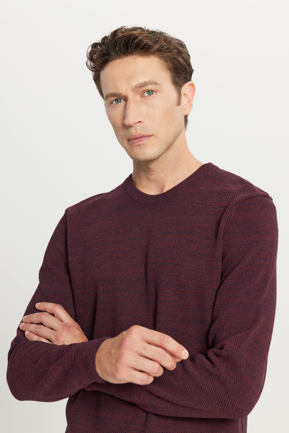 Men's Burgundy-navy Standard Fit Regular Fit Crew Neck Patterned Knitwear Sweater