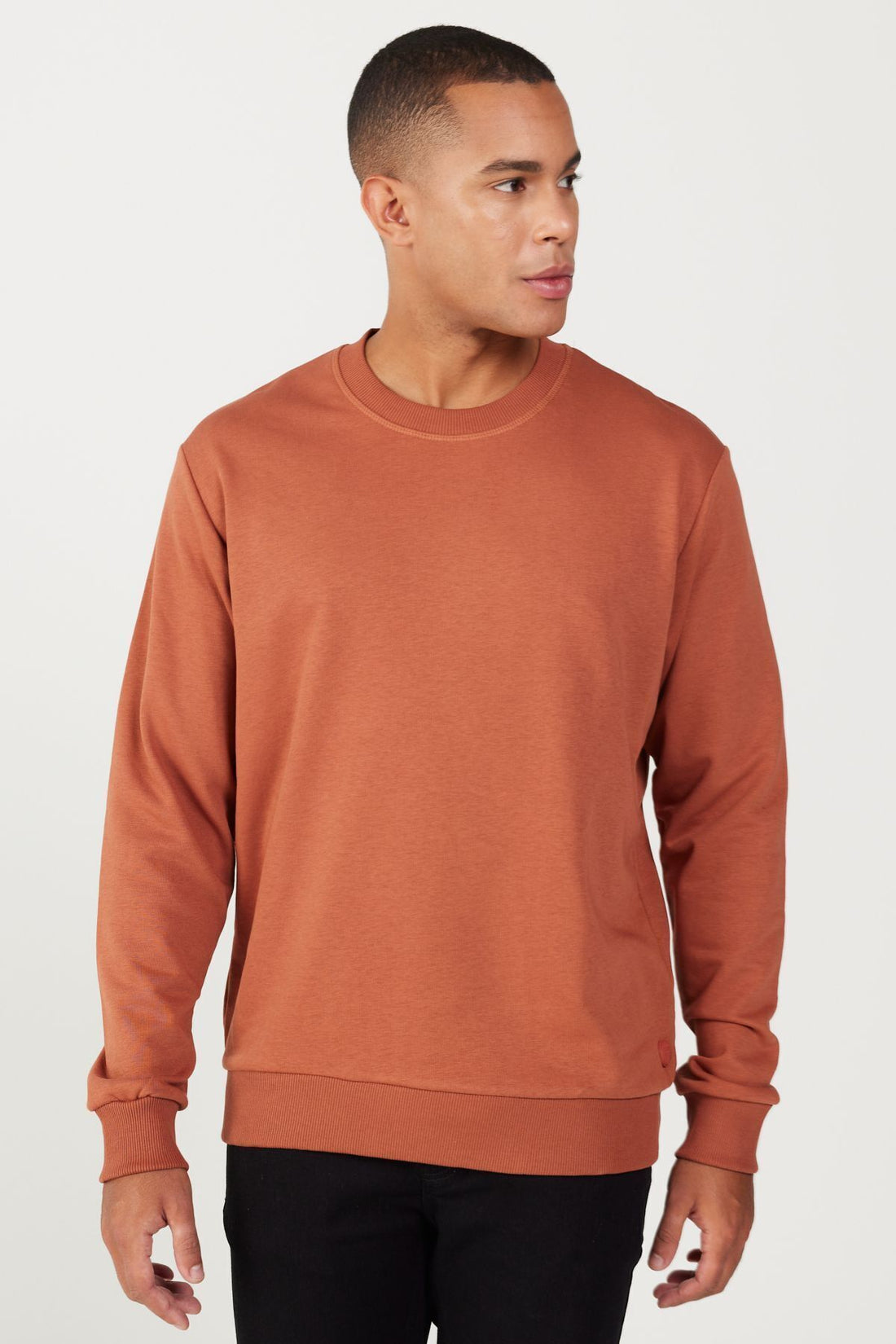 Men's Light Brown Standard Fit Regular Fit Crew Neck 3 Thread Cotton Sweatshirt