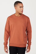 Men's Light Brown Standard Fit Regular Fit Crew Neck 3 Thread Cotton Sweatshirt