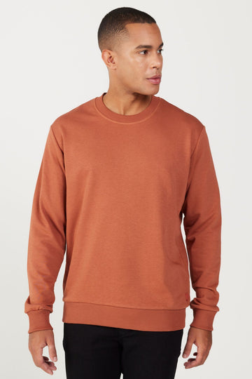 Men's Light Brown Standard Fit Regular Fit Crew Neck 3 Thread Cotton Sweatshirt