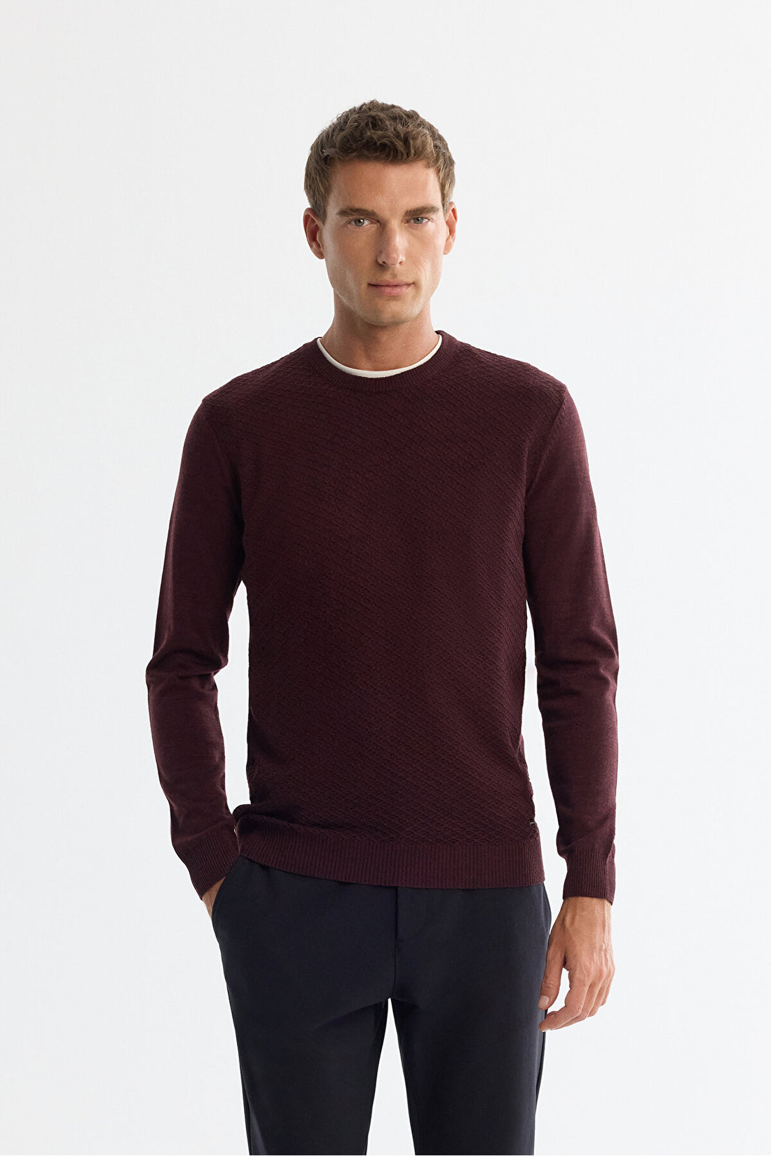 Men's Burgundy Textured Basic Sweater E005109