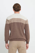 Men's Beige-Coffee Warm Colorblock Pattern Knitwear Sweater Standard Fit Crew Neck