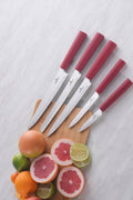 Viego 6 Piece Stand Knife Set Red