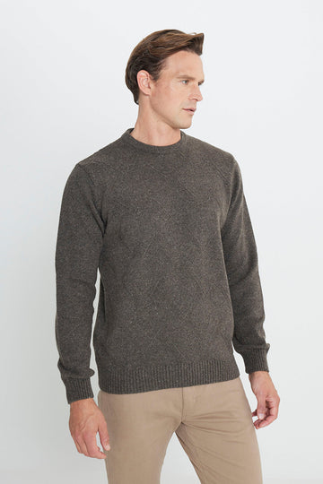 Men's Brown Wool Standard Fit Regular Fit Crew Neck Jacquard Knitwear Sweater