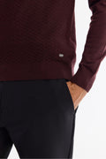 Men's Burgundy Textured Basic Sweater E005109