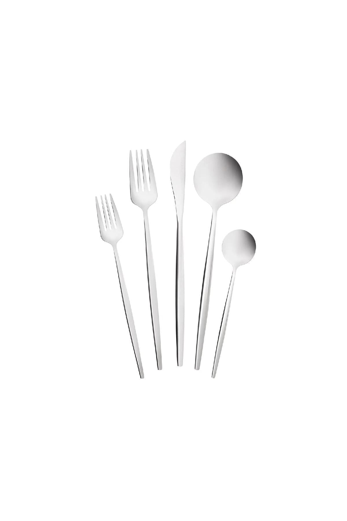 Orion Platinum 30 Pieces 6 Person Fork Spoons Knife Set