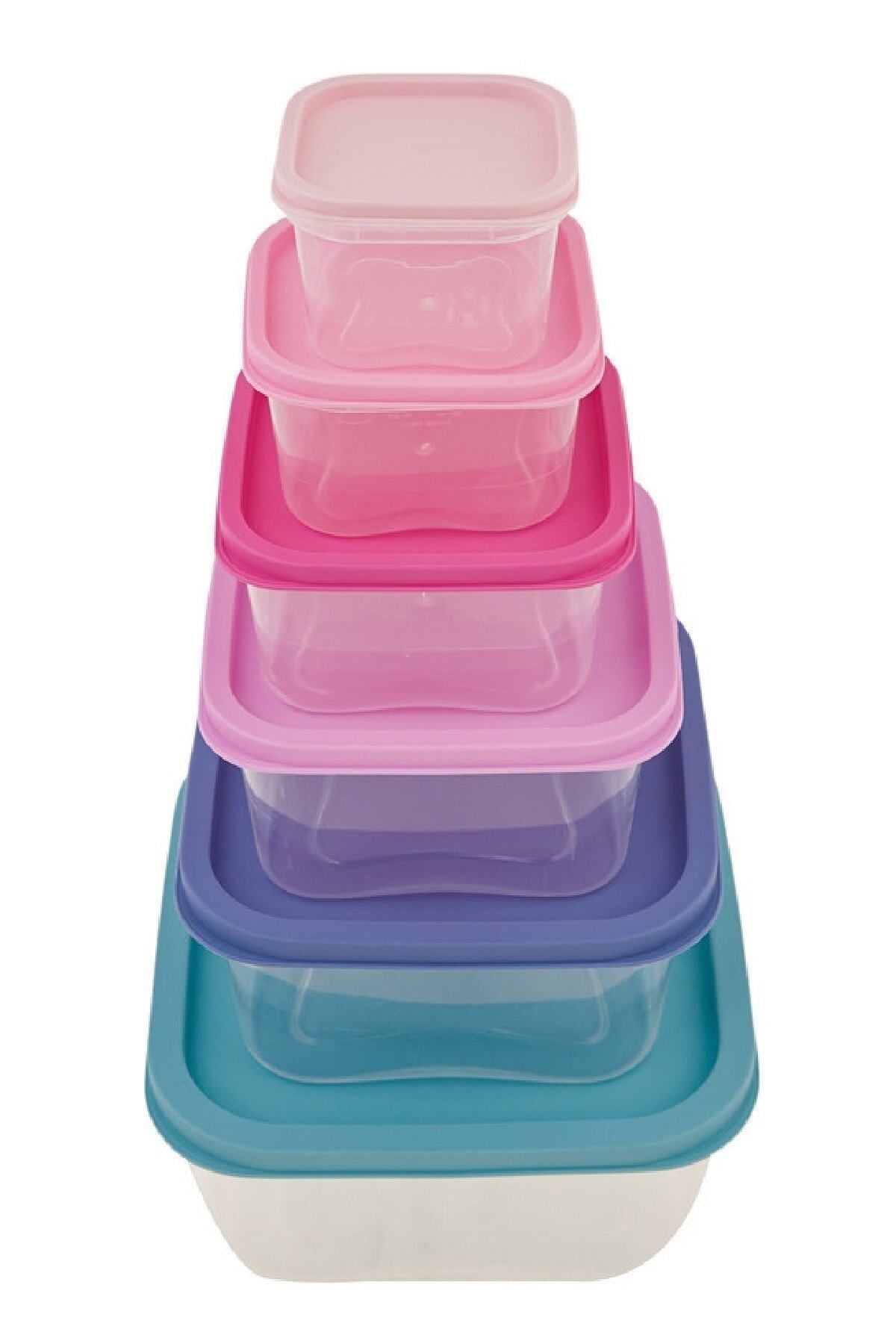 Dora Purple 6 Piece Storage Container