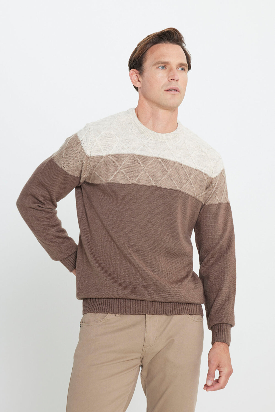 Men's Beige-Coffee Warm Colorblock Pattern Knitwear Sweater Standard Fit Crew Neck