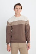 Men's Beige-Coffee Warm Colorblock Pattern Knitwear Sweater Standard Fit Crew Neck