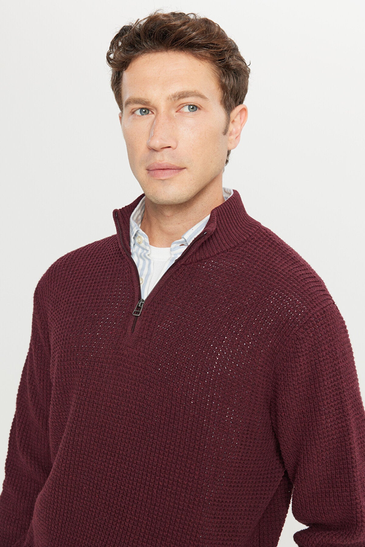 Men's Burgundy Cotton Standard Fit Regular Fit Bato Collar Jacquard Knitwear Sweater