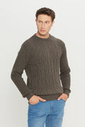 Men's Brown Wool Standard Fit Regular Fit Crew Neck Jacquard Knitwear Sweater